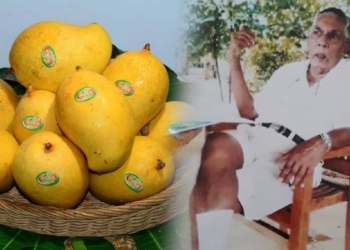 ඉන්දියාවේ අල්පොන්සෝ ! එල්ලාවල අනුරාධපුරේ හදපු TJC ! බිබිලේ දොඩම්වලට ඔස්ටේ්රලියාවේ ඇපල්වලට වෙච්ච දේ වෙන්න දෙන්න එපා! Sri Lanka Latest News