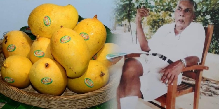 ඉන්දියාවේ අල්පොන්සෝ ! එල්ලාවල අනුරාධපුරේ හදපු TJC ! බිබිලේ දොඩම්වලට ඔස්ටේ්රලියාවේ ඇපල්වලට වෙච්ච දේ වෙන්න දෙන්න එපා! Sri Lanka Latest News
