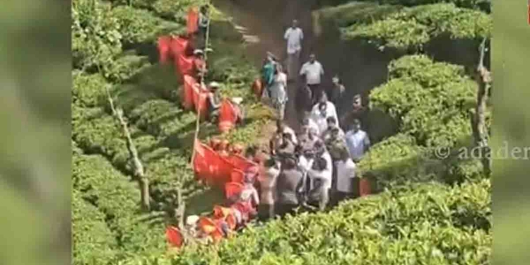 නුවරඑළි යන අතරමගදී අනුර වාහනයෙන් බැස තේ වත්තක් මැදින් යයි! වතුකම්කරුවන් අනුරව වට කරගෙන පඩි වැඩි කරපු එකට පින් දෙයි! මිනිස්සු මාර කතා තමයි කියන්නේ! VIDEO I Sri Lanka Latest News