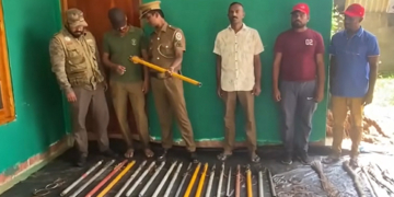 තිරප්පනේ කැලෑවෙන් පුදුම හිතෙන දේවල් මතුවෙයි! මෙච්චර කාලෙකට වනජීවියවත් නොදැක්ක දේවල්! VIDEO I Sri Lanka Latest News