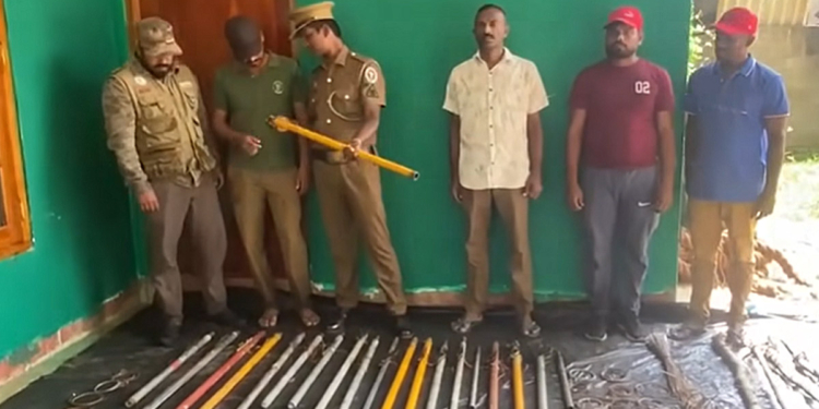 තිරප්පනේ කැලෑවෙන් පුදුම හිතෙන දේවල් මතුවෙයි! මෙච්චර කාලෙකට වනජීවියවත් නොදැක්ක දේවල්! VIDEO I Sri Lanka Latest News
