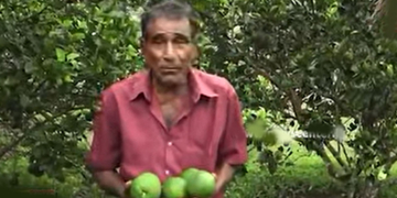 බිබිලේ දොඩම් විනාශයි! ගොවියො ඉවරයි! දුක කියන විදිහ අහන්නත් දුකයි! VIDEO I Sri Lanka Latest News