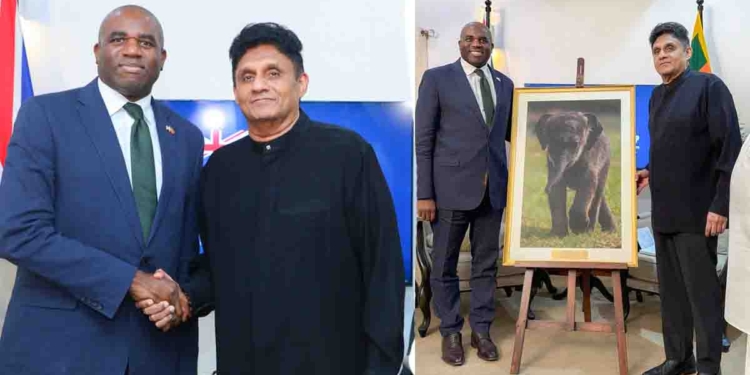 ලංකාවට ආ බ්‍රිතාන්‍ය අගමැති ලැමී විපක්ෂනායක කාර්යාලයට ඇවිත් සජිත් හමුවෙයි! සජිත්ගෙන් රටට වැදගත් ඉල්ලීම් රැසක්! අලියෙකුත් තෑගි කරලා! VIDEO & PHOTOS I Sri Lanka Latest News