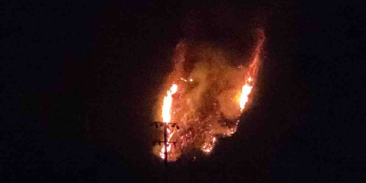 අලුත්ගම කැලෑ ගින්න හැටන්-දික්ඔය මහපාරටම එයි! කවුරු හරි ගිනි තියලා? PHOTOS I Sri Lanka Latest News