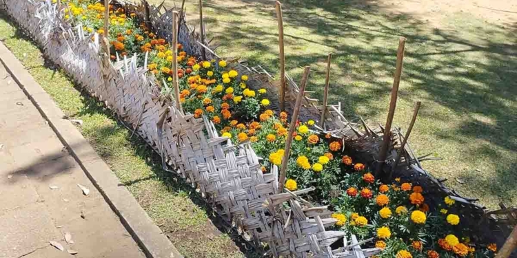 ඉතිහාසයේ පළමු වතාවට මහනගර සභාව නුවරඑළියේ ‘වසන්ත උදාන’ සමාරම්භක උත්සවය මාධ්යයට නොකිව්වත් මාධ්යවේදීන් සිය රාජකාරිය ඉටුකරයි! වැඩේට නුවරඑළිය ලෑස්ති වෙන හැටි කියයි! PHOTOS I Sri Lanka Latest News