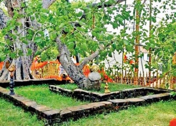 ලිඛිත ඉතිහාසයේ තියෙන ලොව පැරැණිම වෘක්ෂය! ජය ශ්‍රී මහා බෝධින් වහන්සේ අවුරුදු 2300ක් ජීවමානව වැඩසිටින්නේ කොහොමද? විද්‍යාඥයන් රහස හෙළි කරගනී! Sri Lanka Latest News