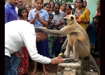 දරු සම්පත් දෙන වඳුරා! Sri Lanka Latest News