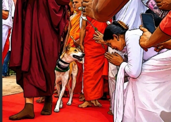 මේකට හිනාවෙන්නෙ ජාතකේ නොදන්න එවුන්…! මඩ ගහන්න කලින් කුක්කුර ජාතකේ කියවපල්ලා…! Sri Lanka Latest News