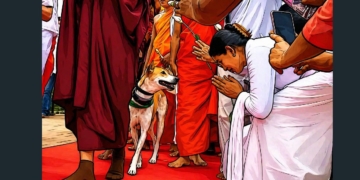 මේකට හිනාවෙන්නෙ ජාතකේ නොදන්න එවුන්…! මඩ ගහන්න කලින් කුක්කුර ජාතකේ කියවපල්ලා…! Sri Lanka Latest News