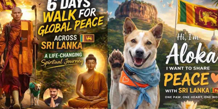 ලංකාවේ සාම පාගමනට ලෝකෙම දන්න ‘ආලෝකාත්’ එකතු වෙනවා! I Sri Lanka Latest News