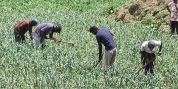 මැයි රැලියට පැය කිහිපයක් තිබියදී වතුකරයෙන් අනුරට ලොකු පණිවුඩයක් ඇවිත්! PHOTOS I Sri Lanka Latest News