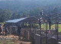 ජාත්‍යන්තර ක්‍රීඩාංගණයක් හදන්න වෙන් කරපු නුවරඑළිය මහනගර සභා ක්‍රීඩාංගණයේ දිට්වාවලින් අවතැන්වූවන්ට පුංචි පුංචි ගෙවල් පේළියක් ගහන්න පටන් අරන්! වහාම නවත්වන්නැයි ඉල්ලීම්! PHOTOS I Sri Lanka Latest News