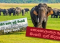 කැලෑ කොලම අඩුපාඩු විතරක්ම දකින්නේ නෑ…! මේක නම් අගය කරන්නම ඕනෙ වැඩක්….! Sri Lanka Latest News