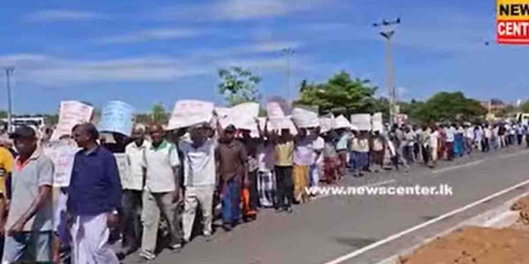ලාල්කාන්ත ජවිපෙ ගොවියා ගෙනැල්ලා සාකච්ඡා කළාට වැඩක් වෙලා නෑ වගේ! ගොවියන්ට කසිප්පුකාරයෝ කිව්වට ගොවියන්ට යකා නැගලා! මුංගෙ අම්මගෙ රෙද්ද..! මේ පොලොන්නරුවෙ පරාක්‍රම සමුද්‍ර ගොවි ව්‍යාපාරයේ ගොවියෝ ආණ්ඩුවට එරෙහිව පාරට බැස්ස හැටි! VIDEO ! Sri Lanka Latest News