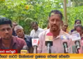 ඉන්දියාවෙ විතරක් නෙමෙයි ලංකාවෙ ගොවියොත් පාරට බහින්න වගේ යන්නේ..! VIDEO I Sri Lanka Latest News