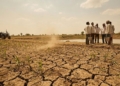 කෑම හිඟයක් – ගංවතුරක් – මහා නියඟයක් – ලංකාවට භයානක අනතුරක් ! සජිත් කලින්ම කියයි ! අනුර වහාම සූදානම් වෙයි ! Sri Lanka Latest News