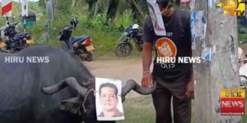 ගොවියො ලාල්කාන්තට කරපු දෙයක්! ‘අපි කිව්වනේ හරකෝ උඹට මේක කරන්න බෑ කියලා.. අන්තිමට ගොයියට කෙළියා..!’ VIDEO I Sri Lanka Latest News