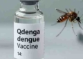රටවල් 43ක් අනුමත කළ ඩෙංගු එන්නත ඉන්දියාවේත් අනුමතයි! ඩෙංගු වසංගතයක් වෙලා 56ක් මියගිය ලංකාවට ගේන්නේ කවදාද? I Sri Lanka Latest News