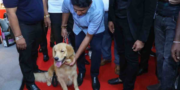 යාල කැලේ අලි-කොටි-වලස්සුන්ට විතරක් නෙමෙයි.. සජිත් ගෙවල්වල ඇති කරන බල්ලන්-පූසන්-ගිරව්-පරවියන්-මාළුන්ටත් ආදරෙයි! VIDEO & PHOTOS I Sri Lanka Latest News