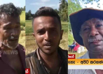 ආණ්ඩුවේ ඇමැතිවරු ගොවීන් අමතනවා! ගොවීන් මෙන්න හොදම එකෙන් ආණ්ඩුවේ ඇමැතිවරුන්ට අමතනවා! VIDEO I Sri Lanka Latest News