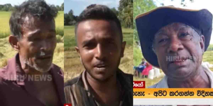 ආණ්ඩුවේ ඇමැතිවරු ගොවීන් අමතනවා! ගොවීන් මෙන්න හොදම එකෙන් ආණ්ඩුවේ ඇමැතිවරුන්ට අමතනවා! VIDEO I Sri Lanka Latest News