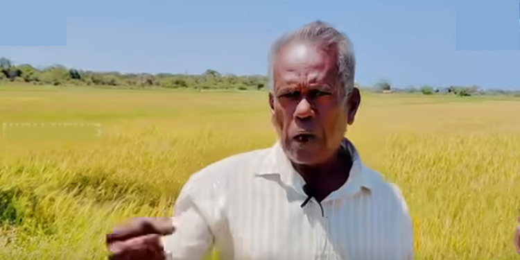 ඕකා ඉන්න ඕන හිරේ..! ගොවියො ලාල්කාන්තට අමතනවා ඇමතිල්ලක්..! VIDEO I Sri Lanka Latest News